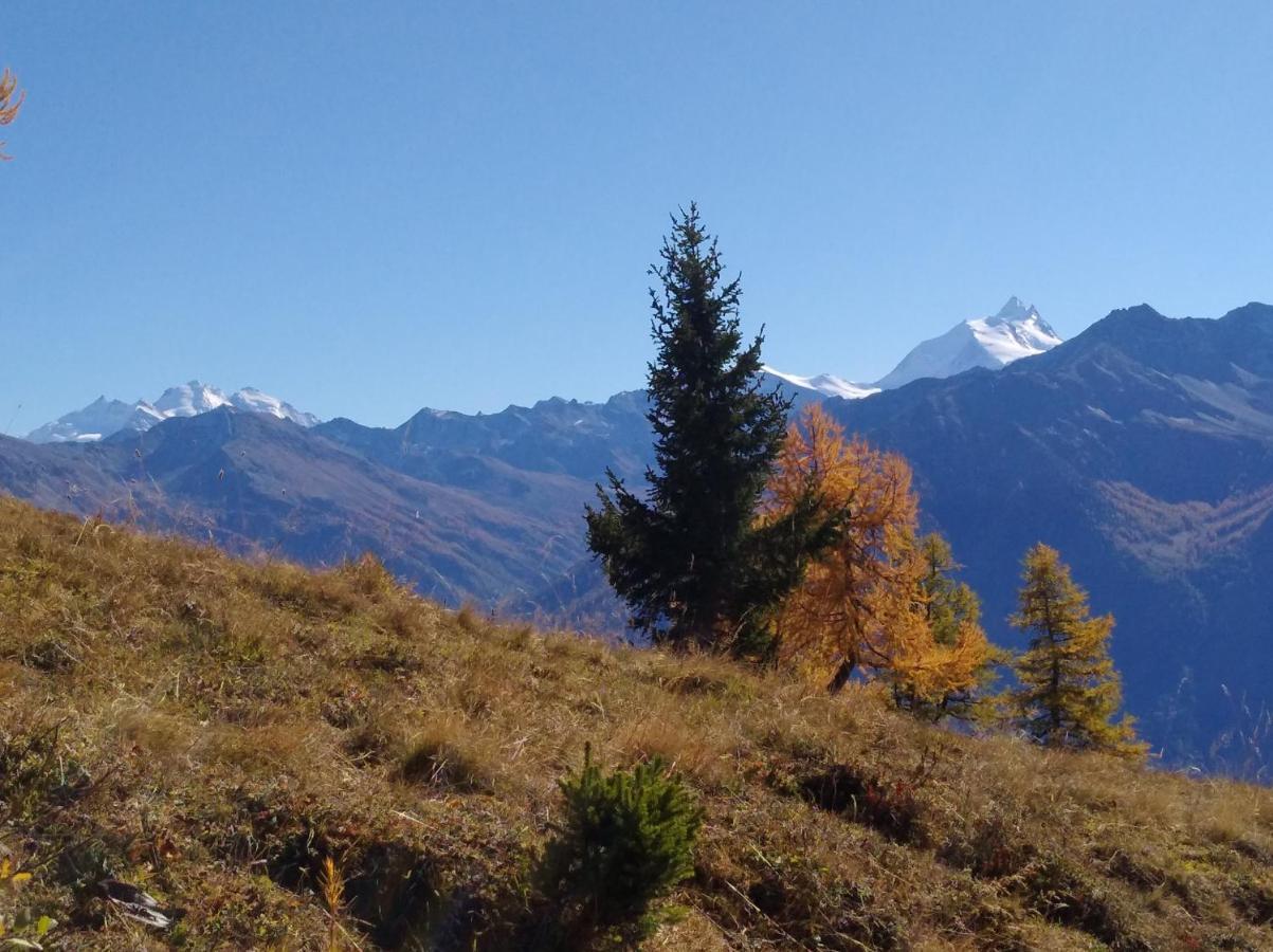 B&B Chalet Rustica Inden, Leukerbad Eksteriør billede